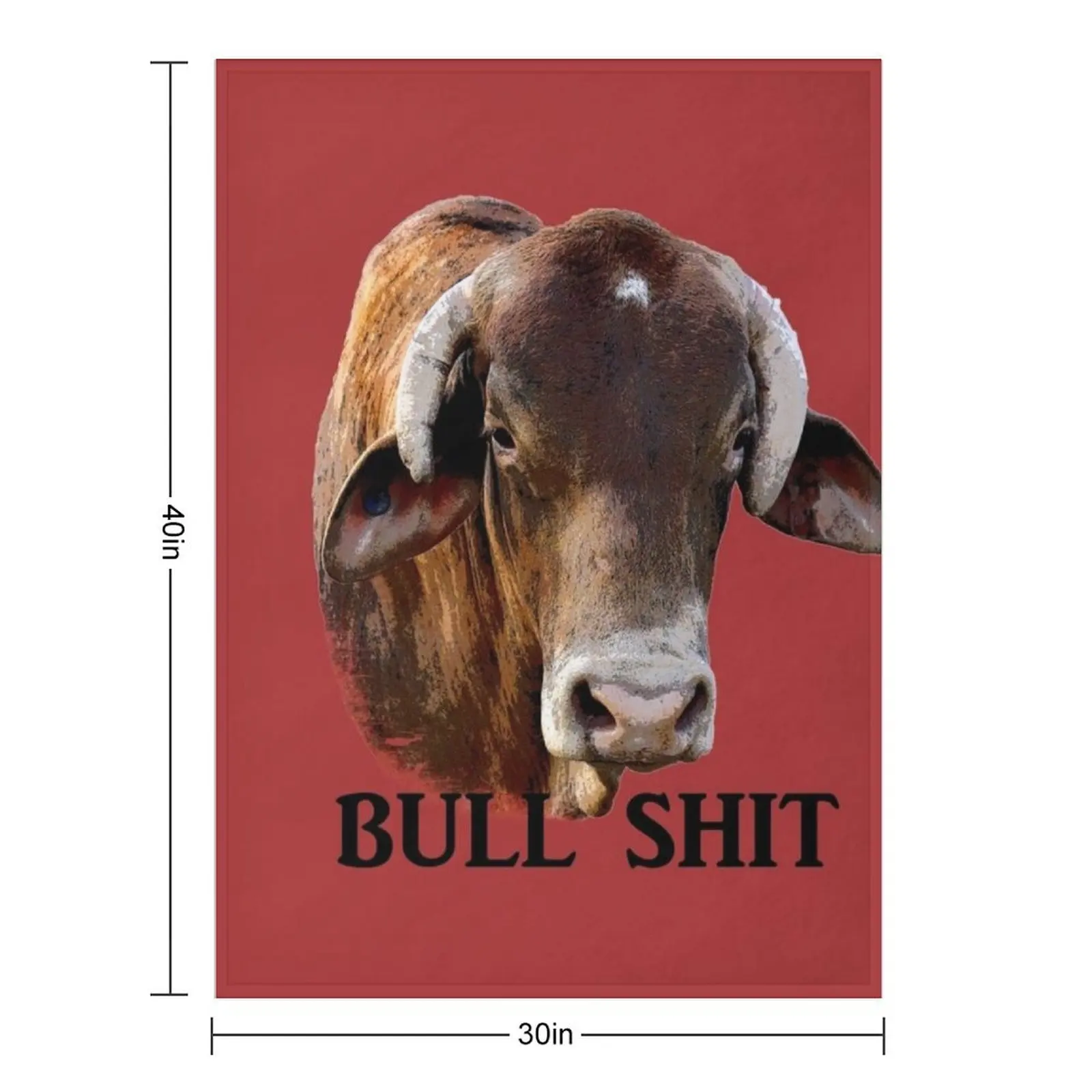 RODEO BULL, RODEO QUOTE Throw Blanket Furrys Bed Fashionable Picnic Beautifuls Tourist Custom Blankets