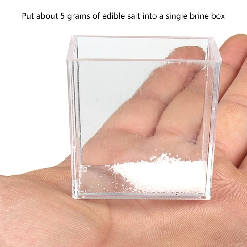 Custodia per esperimenti di generazione di energia in acqua salata per bambini e studenti che imparano i principi di fisica ed elettricità