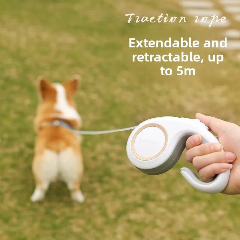 

Pet dog Teddy automatic retractable leash Cat dog leash 3m outdoor dog walking leash