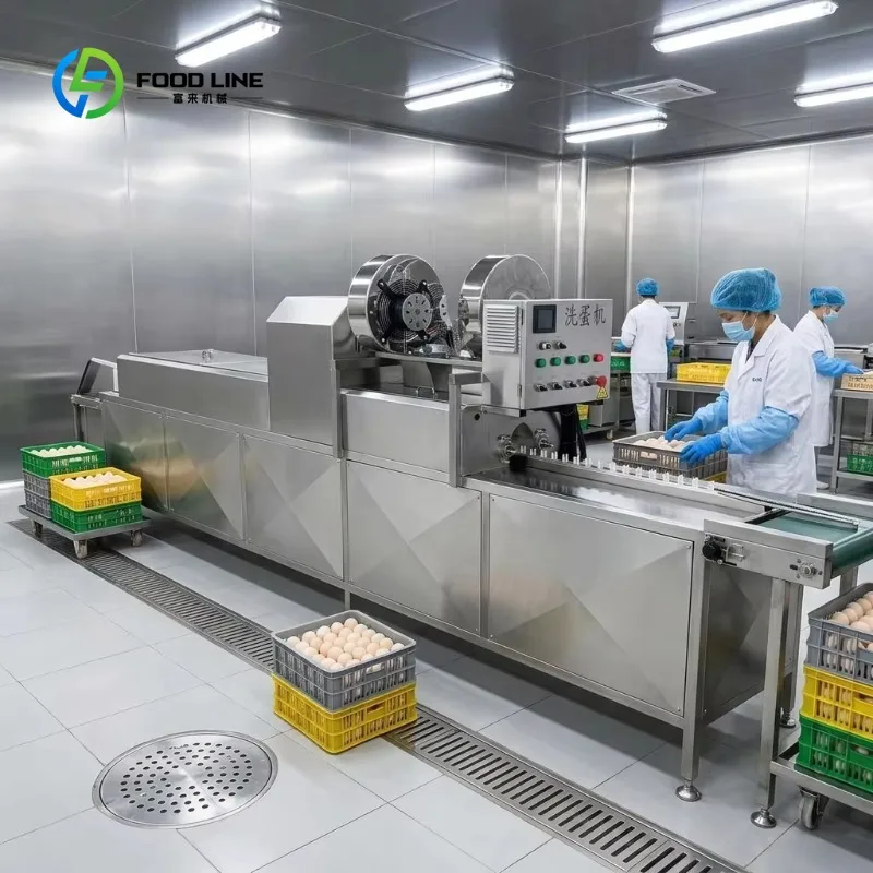 Customized New Industrial Grade Stainless Steel White Chicken Egg Cleaning Washing Machine UV Sterilization 220V 1 Year