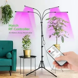 Lampe horticole de croissance LED pour plantes d'intérieur, avec support et minuterie réglable, 3/9/12H