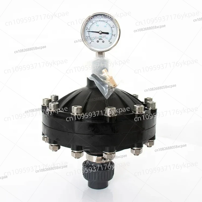 Pulsation Damper 0.35-4L DN15-DN50 Internal Thread Diaphragm Pulsation Dampener for Pumps Dosing System