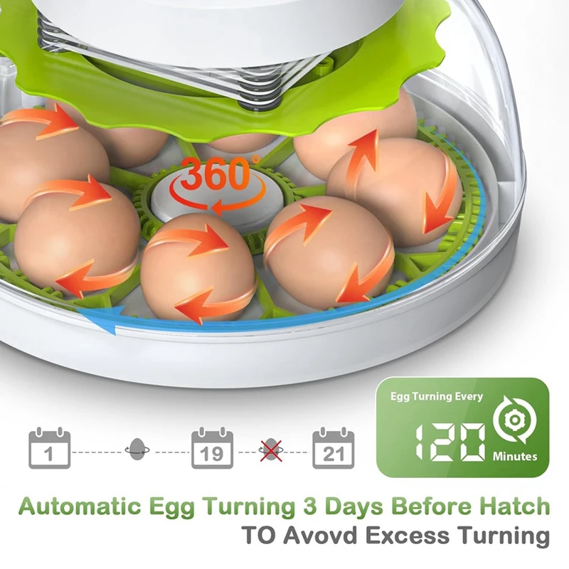 Egg Incubator Temperature And Humidity Digital Control, Supporting 8 Eggs US Plug