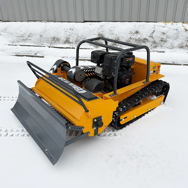 Customized Remote C…