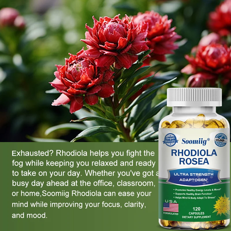 Rhodiola Rosea Capsules - Healthy Brain Function and Memory, High Strength Rhodiola Rosea Supplement, Non-GMO, Gluten-Free