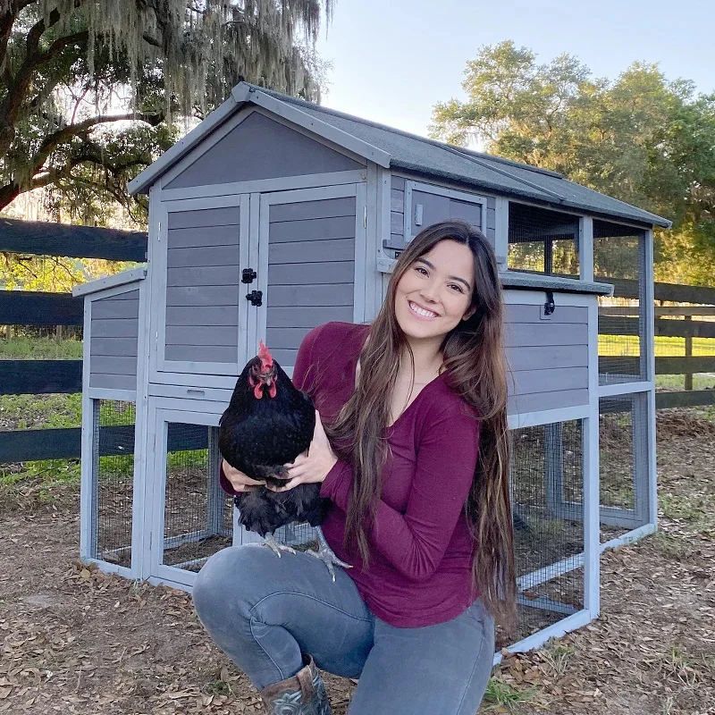 Large Chicken House for 6-8 Chickens