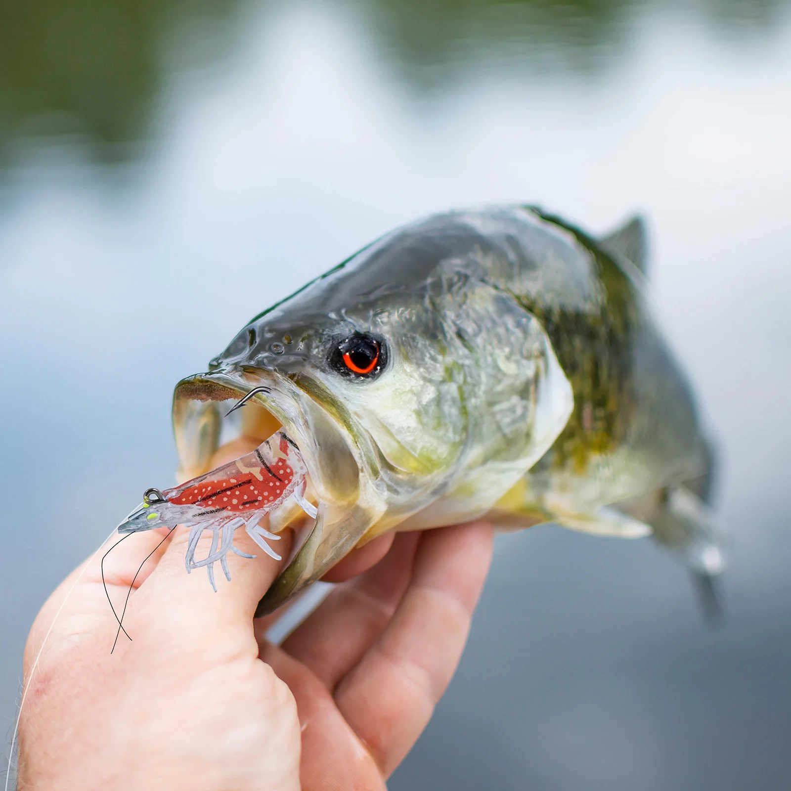 

Рыболовные джиг-приманки Goture 8/12 г в форме креветок, 3 шт. – Реалистичные светящиеся в темноте приманки для рыбалки, с острым крючком, приманка-креветка