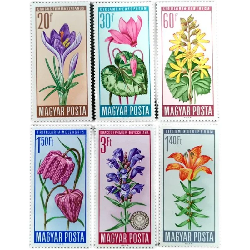 6Pcs/Set New Hungar…