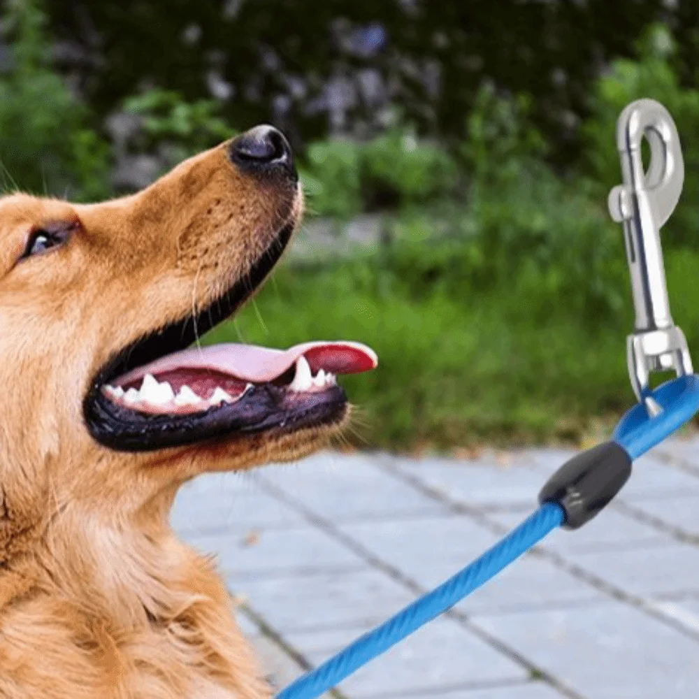 حبل سلكي للحيوانات الأليفة برأس مزدوج مرن ومتين، مشبك فولاذي عالي التحمل، كابل ربط للكلاب 3M مع مقود طويل زنبركي للحيوانات الأليفة #5