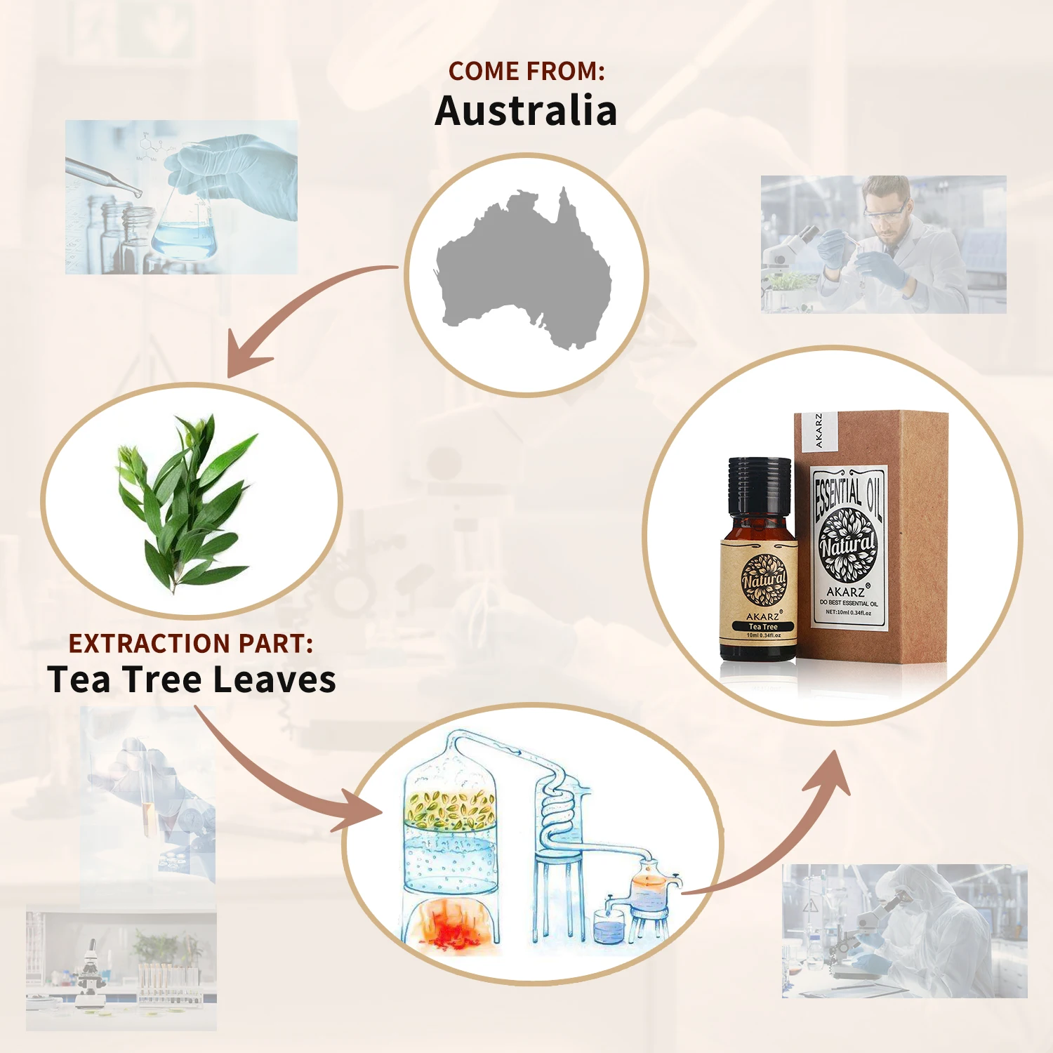 AKARZ Tea Tree Essential Oil 2