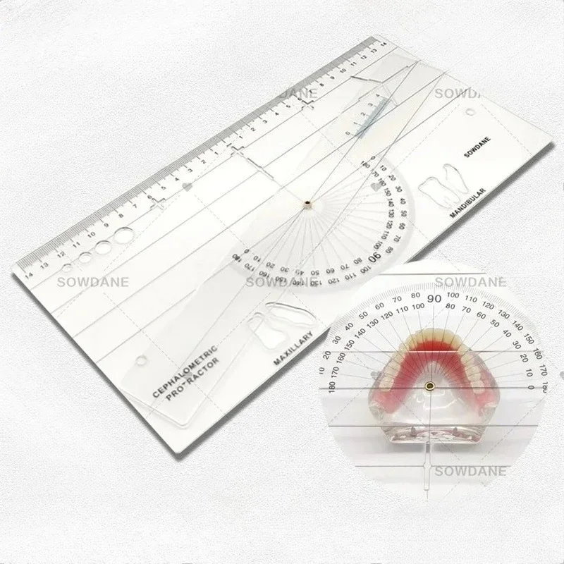 Premium New Guide Plate Lab Cephalometrics Ruler Protractor Measuring Ruler