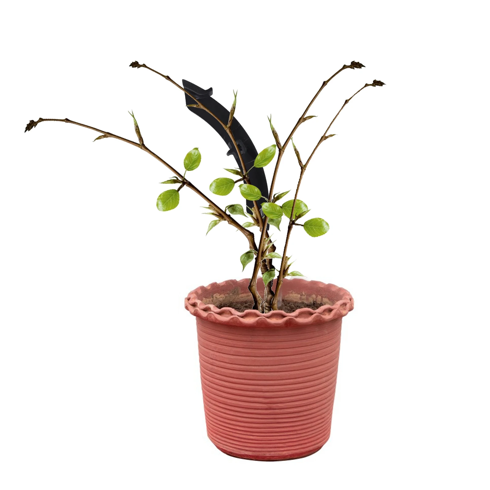 

10 Pcs Shape Twisting Clip Branch Shaping Fixing Device Plant Benders Trainer Branches Gardening Clamps Bending Clips Plants