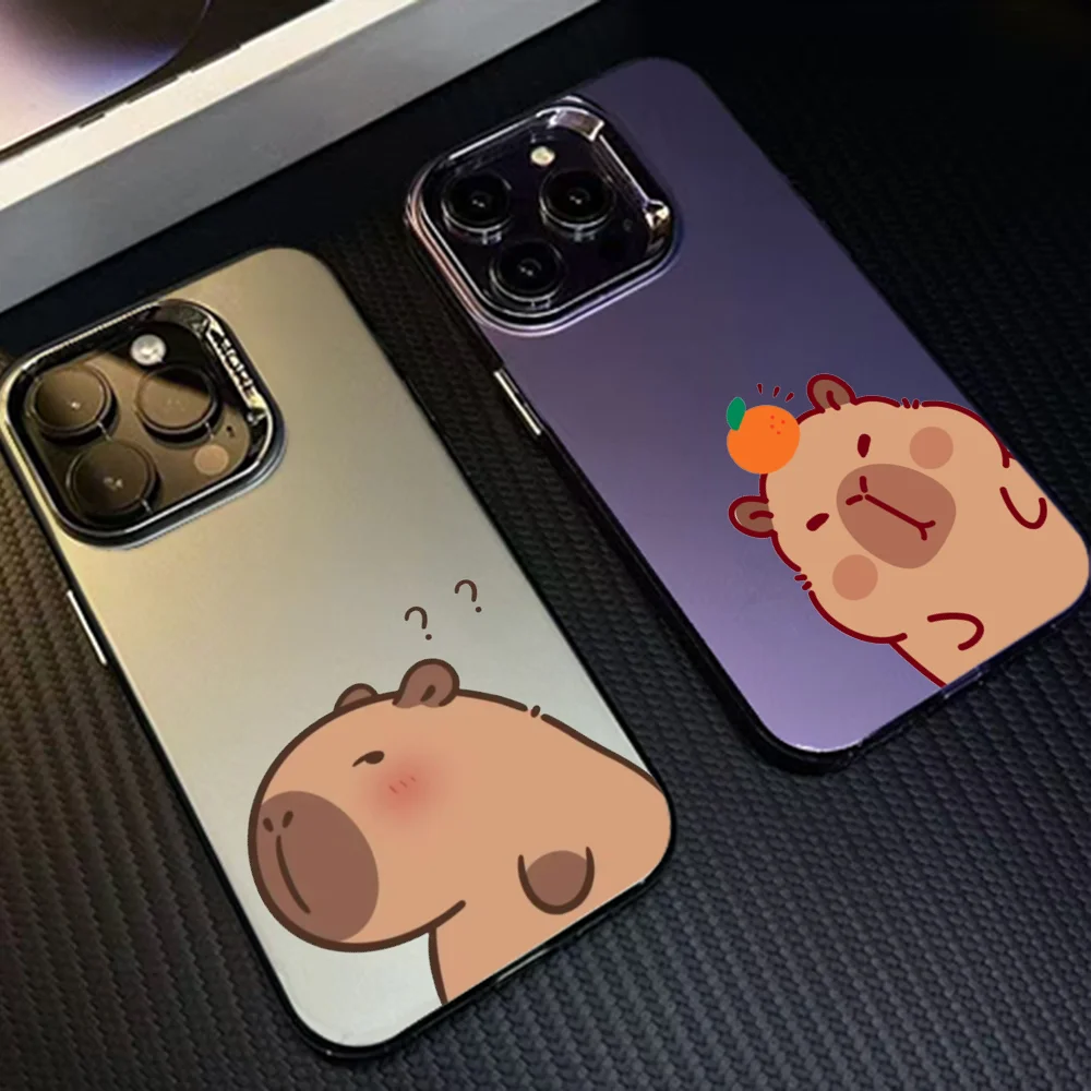 

Cartoon Cute Capybara Matte Phone Case Fashion Case For IPhone 16 15 14 Plus 13 12 11 Pro Max X Xs XR 8 7 Matte Colorful Silver
