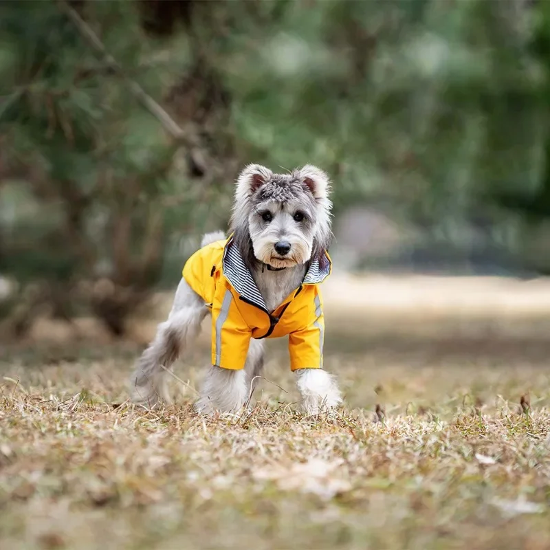 Pet impermeável impermeável poliéster, roupas para cães, tamanho ajustável, casaco de secagem rápida, estilo europeu, novo, 2022