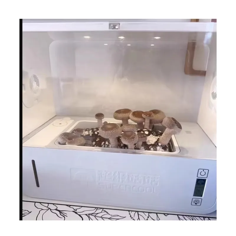 Special Price Mushroom Growing Kit Children Grow Small Potted Plants Mushroom Cultivation With Insulation Shed