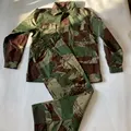 Rhodesian