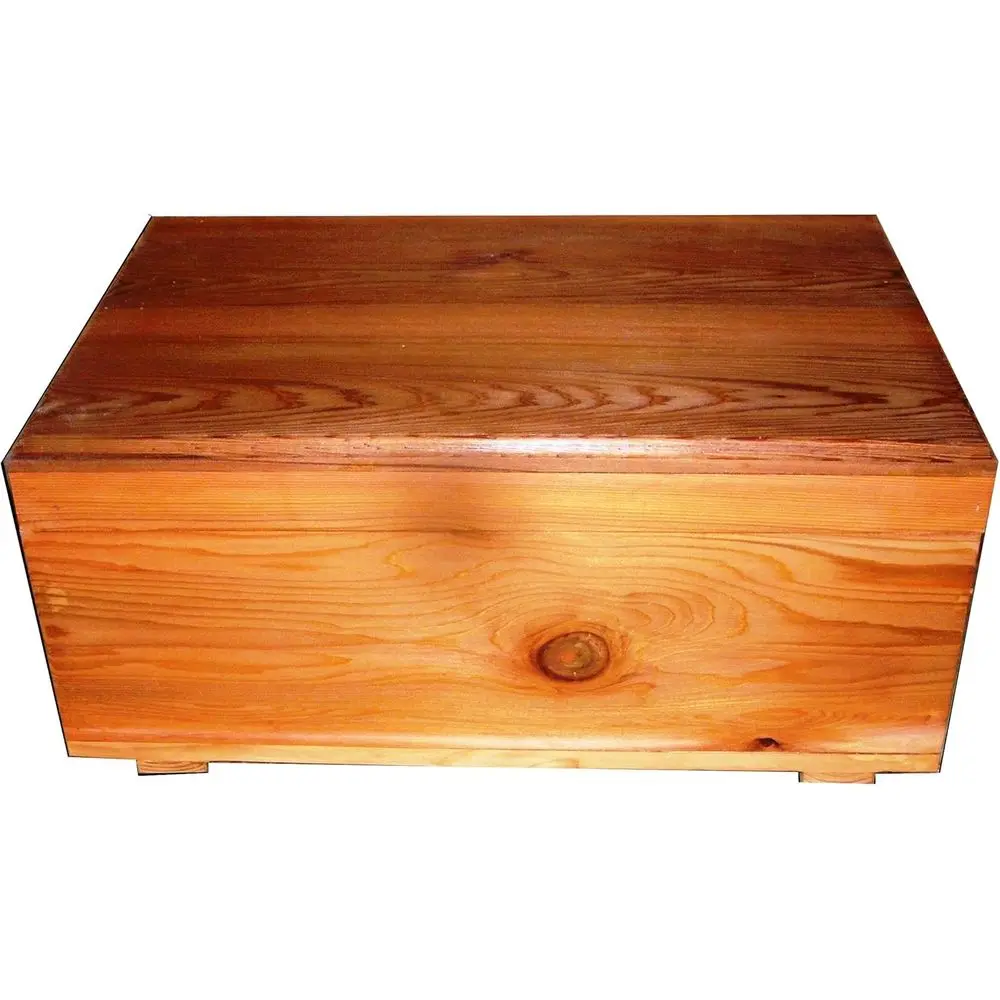 

Extra-Large Storage Chest - 20 x 14 x 9 Dimensions