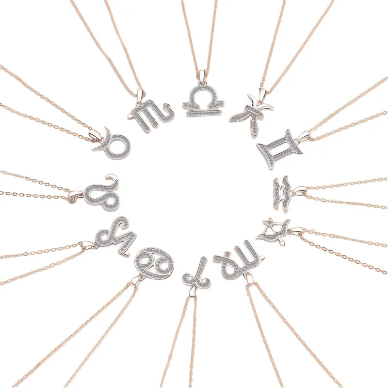 Butterflykiss Moissanite 925 Sterling Silver Necklace For Men/Women 12 Constellations Signs Pendant Fine Jewelry Birthday Gift