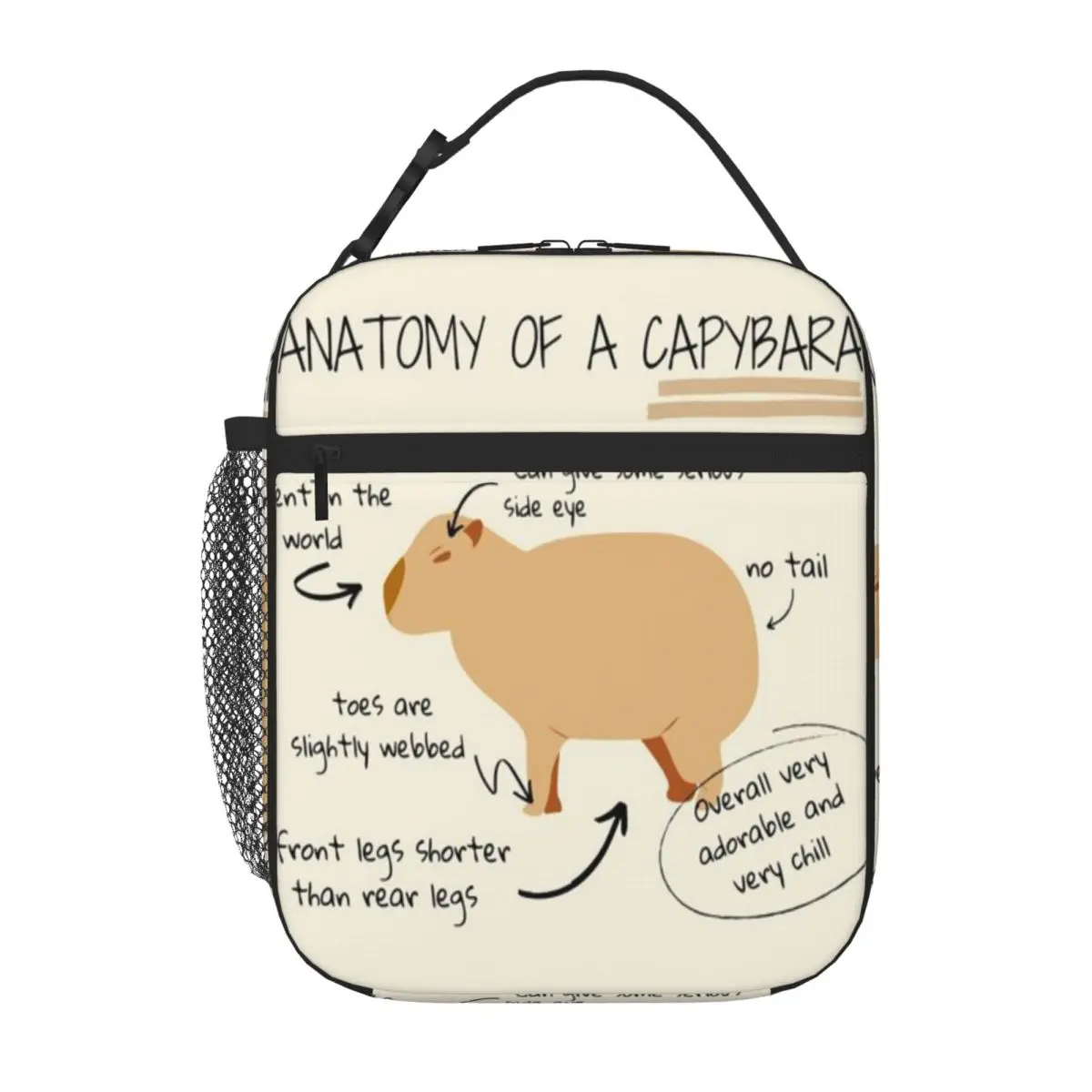 Bestselling Anatomy Of A Capybara Plain Design Thermal Lunch Bag Outdoor Picnic Thermal Tote