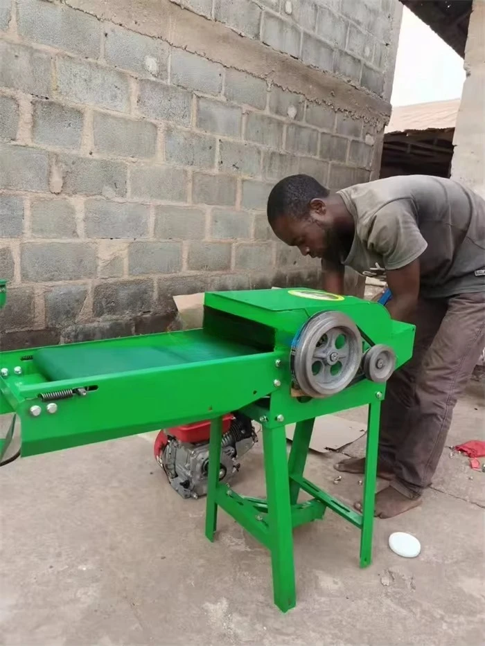 آلة كسارة القش فعالة من حيث التكلفة - آلة تقطيع العشب وصانع أعلاف الدواجن للاستخدام اليومي في المزرعة الصغيرة