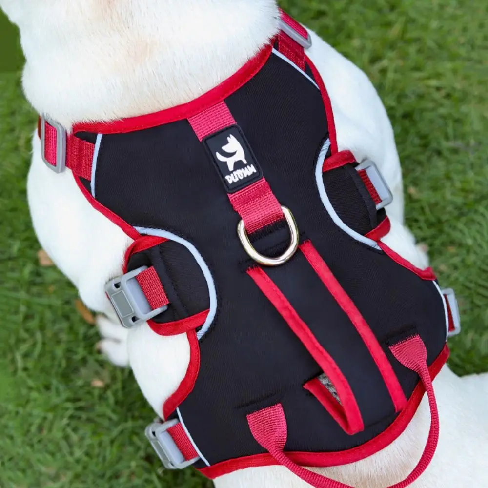 Thumbnail 2 - #17 New Dog Car Safety Harnesses Arrivals