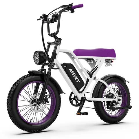 AMYET V9-G60 Adults Electric Bike 1000W Motor Bicycle 48V 20AH 20“ Tire Ebike Electric E Bikes Mountain Moped Ebikes For Men