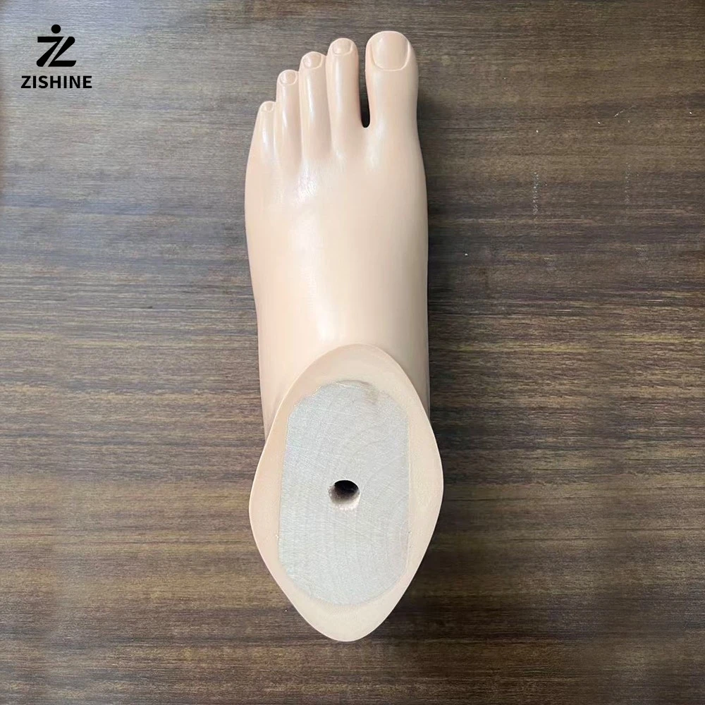 

Prosthetic footplates, static ankle joint accessories, parts, prosthetic orthotics, prosthetic sockets, fastening prostheses