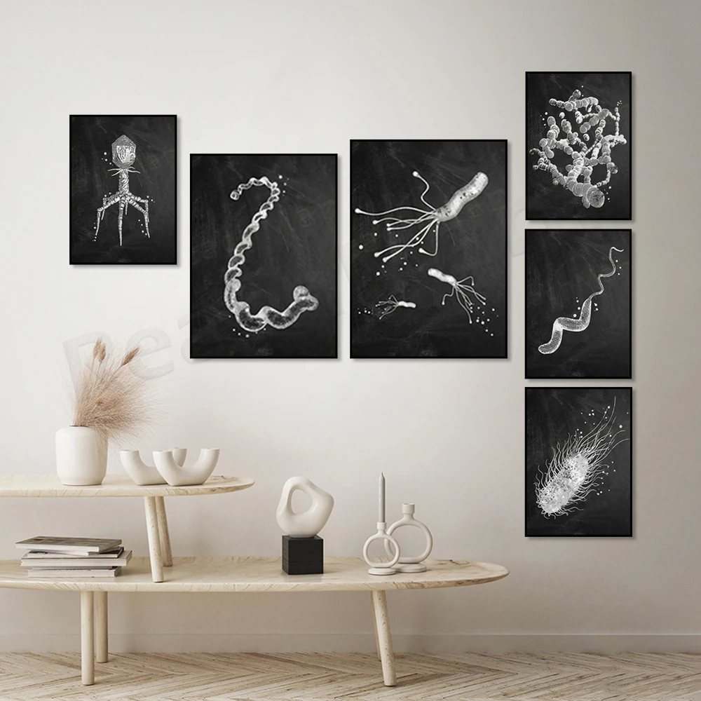 Affiche sur les types de bacté - Medical Lab Posters avis et prix