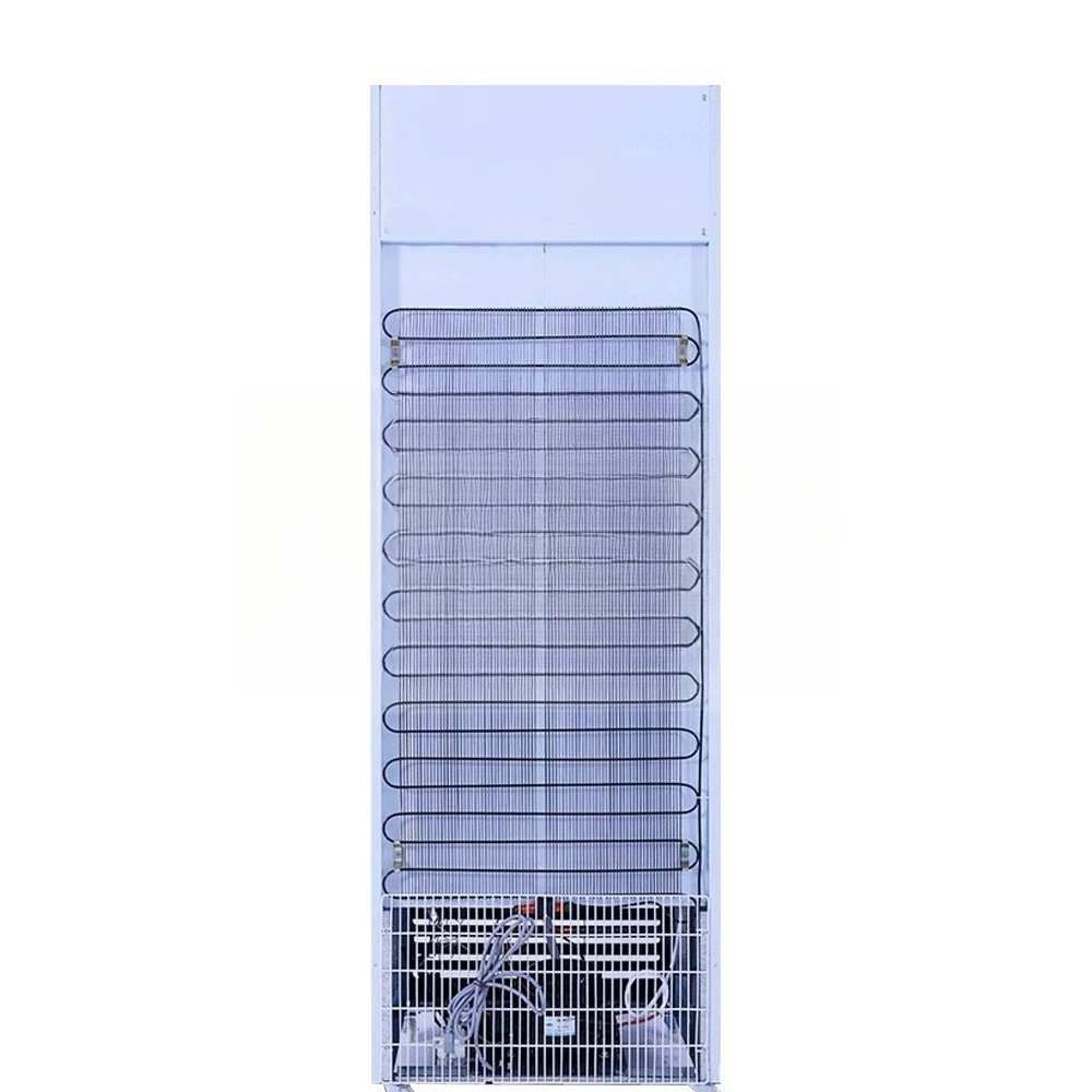 Vertical Plug-in Glass Door Display Fridge Energy Saving Upright Beverage Freezer for Commercial Shop Fruit Juice Drinks