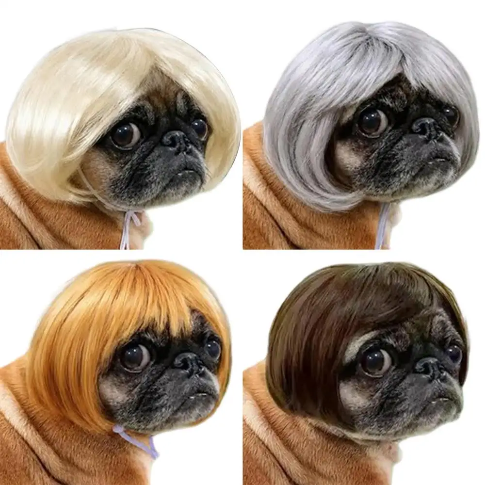 Hundeperücke-Kollektion Lustige Cosplay-Festivals Partys Dekorative Kleidung für Hunde und Katzen Halloween Haustier-Requisiten Zubehör – Detail 1