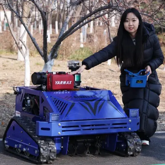 

Customized High Quality Cutting Width 550mm Remote Control Flail Mower Grass Cutting Machine Lawn Mower