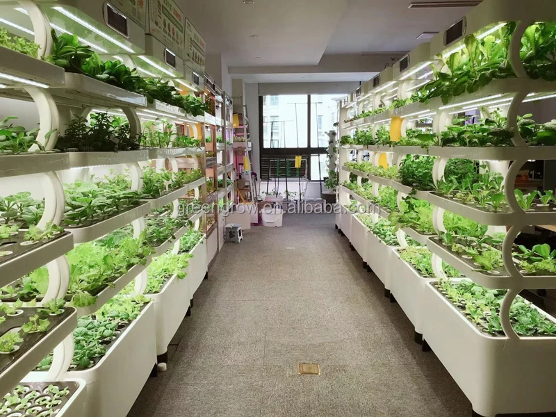 الدفيئة نظام الزراعة المائية الكامل داخلي حار بيع حديقة زارع الذكية Led تنمو ضوء ميكروغرين وعمودي #6
