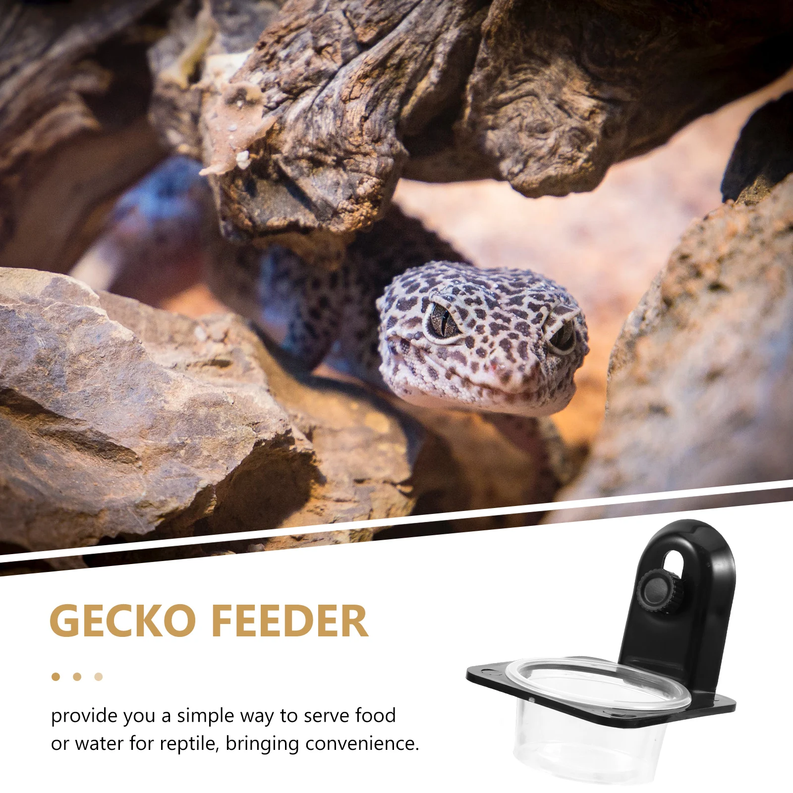 

Reptile Feeding Bowl Gecko Water Dish Transparent Sturdy Design Small Pet Food Container Terrarium Landscaping Decors