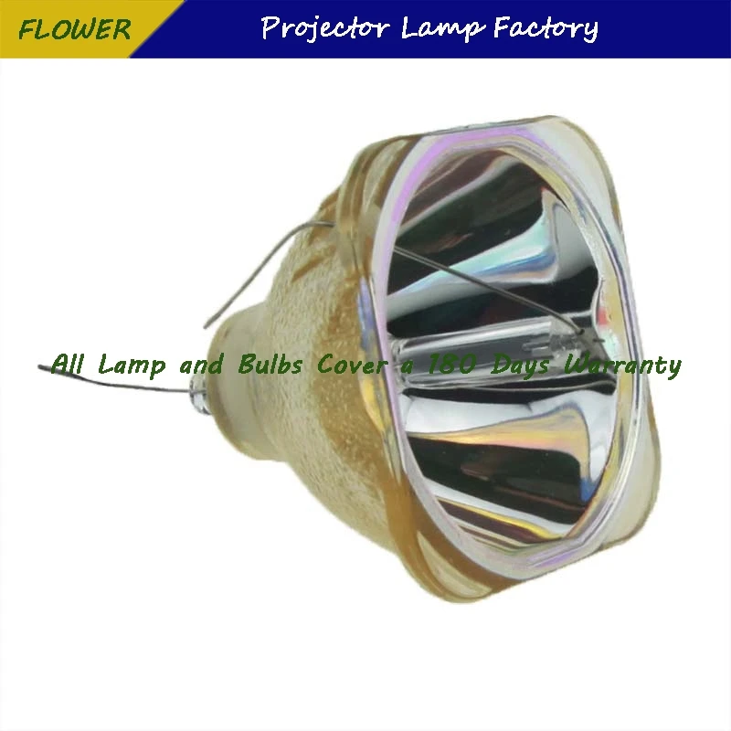 DT00731 180 Days Wa… - image