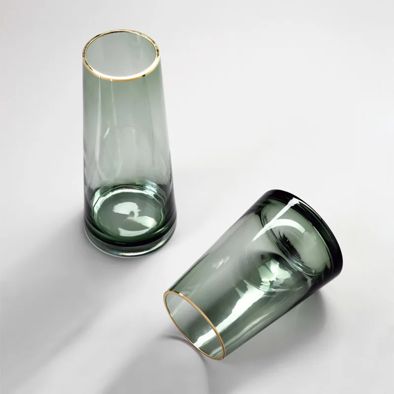 

Nordic Light Luxe Gold-Rimmed Transparent Glass Vase, Living Room Floral Hydroponic Dining Table Decor. Home Decor Items