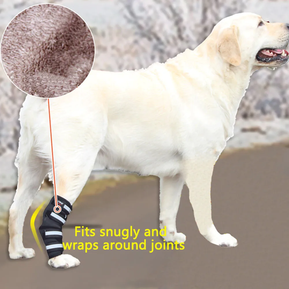 Dog Knee Pads Pet Joint Support Protector Dogs And Cats With Leg Injuries Weakness Fixed Assistive Belt Warm Padded Breathable