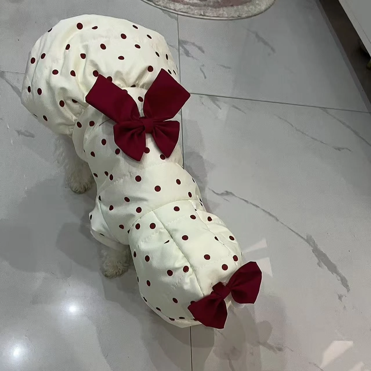 Thumbnail 2 - #20 Trending Puppy Coats Right Now