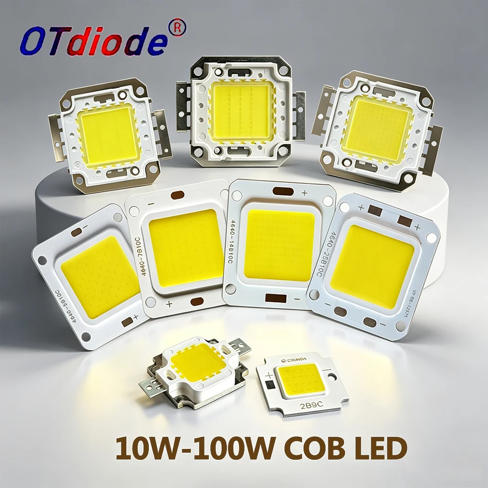 100W 50W 30W 20W 10W LED COB Chip Light DC9-11V 30-36V Cold Warm White Street Lamp Matrix For DIY Flood Light Bulbs