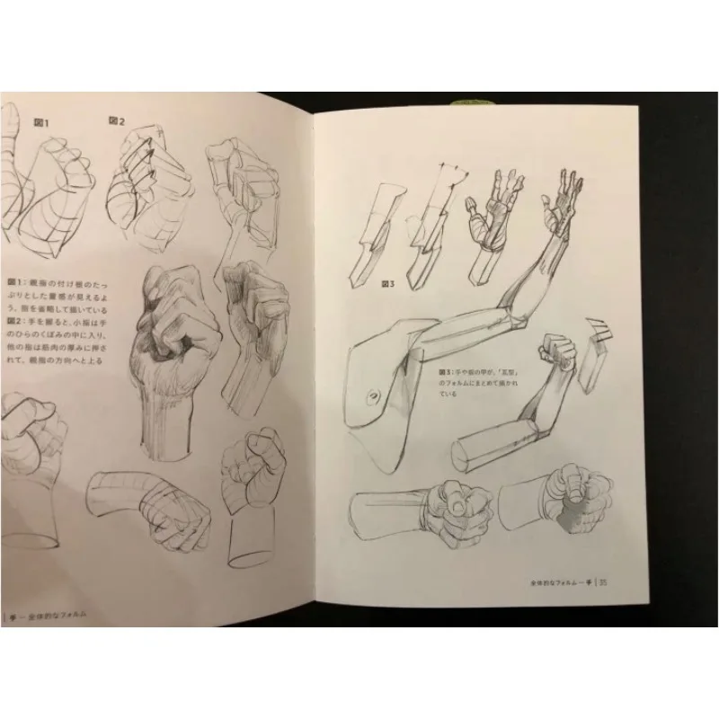 Hands and Feet Drawing Tutorial Book Morpho Anatomy Skeleton Muscles Step-by-Step Guide Michel Lauricella Japanese