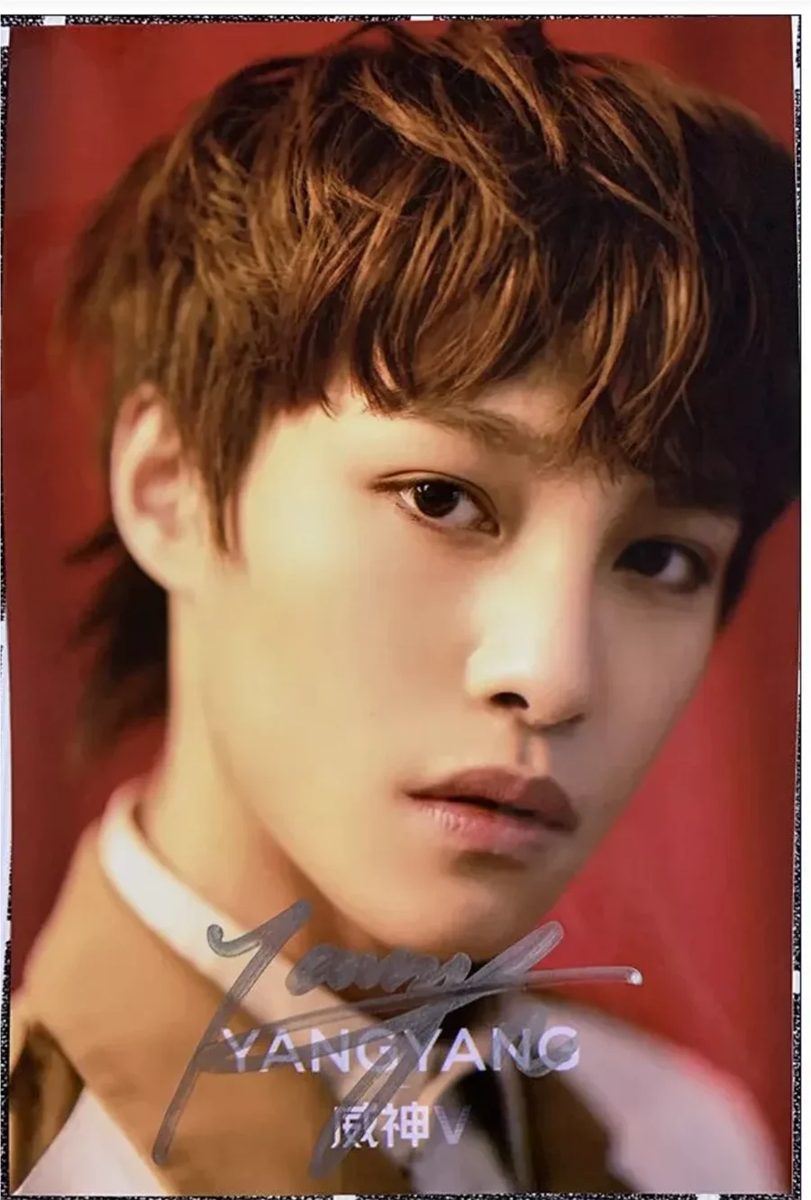 Signed Photo WayV YANGYANG Hand Autogtaphed