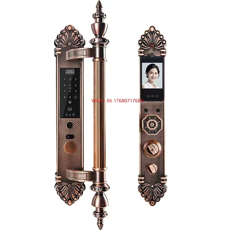Waterproof 3D Face Fingerprint Recognition Smart Door Lock Zinc Alloy IC Card Wood/Brass/Aluminum Doors App Cloud Wi-Fi