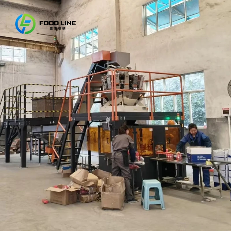 Customized Automatic Electric Rotary Filling Labeling Machine Multi-Function Automatic Screw Bolt Carton Box Paper PLC Control