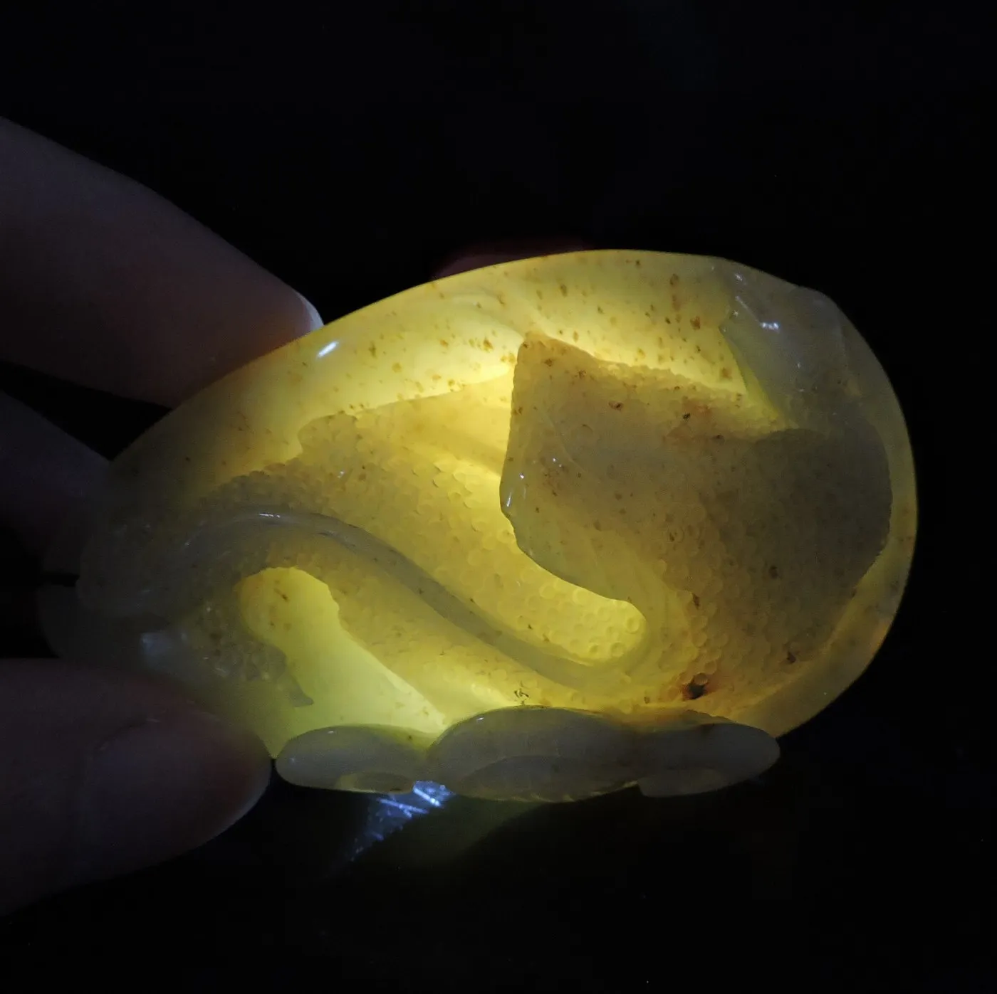 Jade Jewelry Natural Jade Pendant Necklace Hand-Carved lizard&Ruyi Jadeite Necklace Pendant Gift No Treatment G162