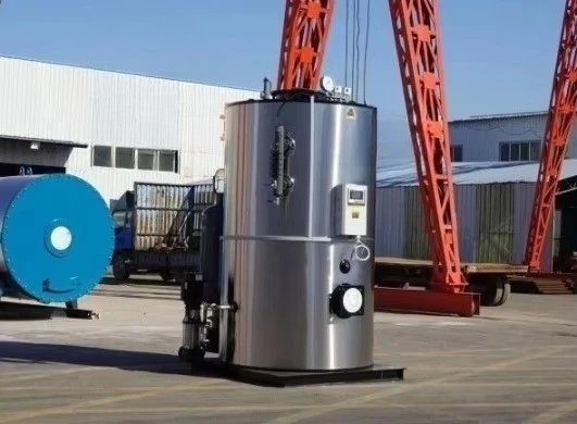 Stainless steel liquefied petroleum gas steam generator boiler with high efficiency built-in low water level protection device