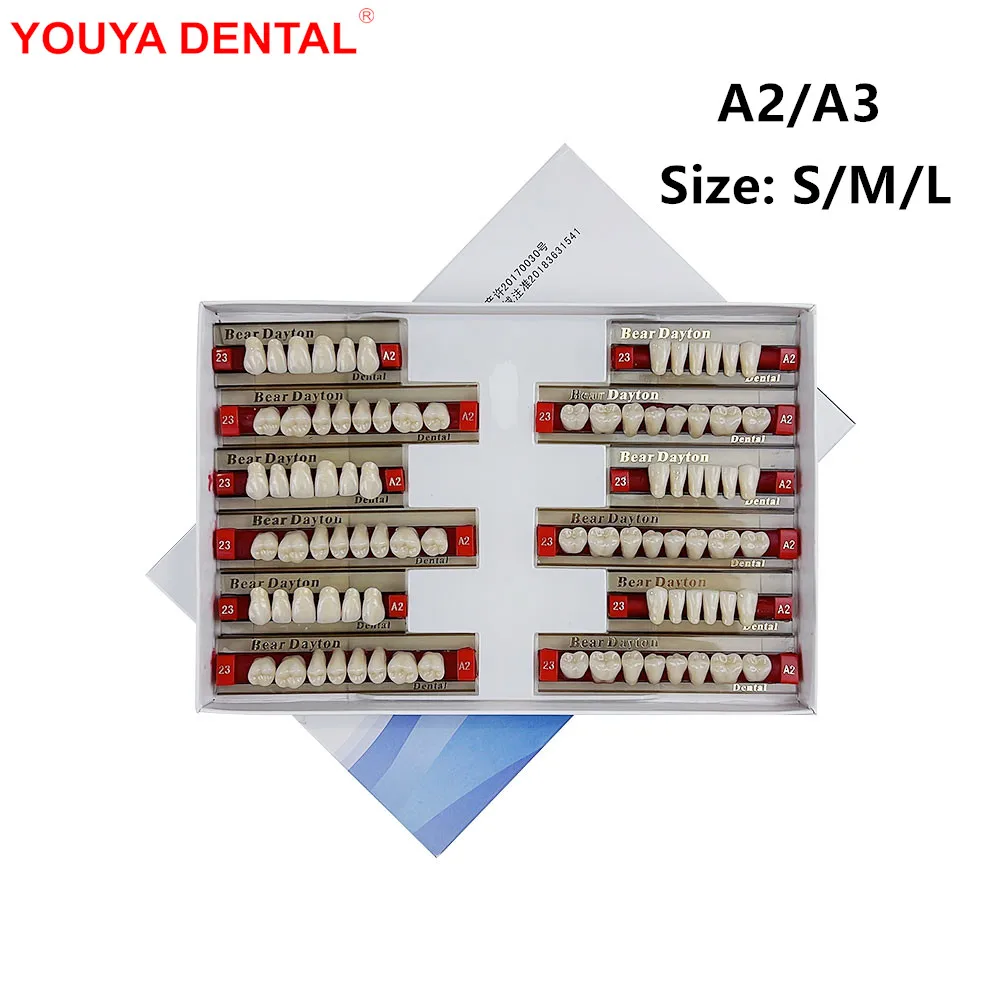 

84Pcs Dental Synthetic Resin Teeth Denture Upper Lower A2/A3 Artificial Anterior Posterior Acrylic Resin Teeth Education Model