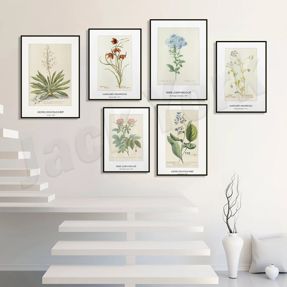 Vintage Botanical Poster, Mahogany Ring Leaf, Pasifora Vacemosa, Alpine Rosa 1828, Floral Print, Modern Farmhouse Wall Decor
