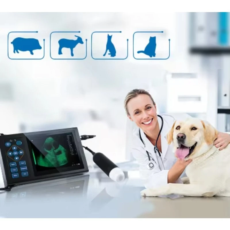Handheld Sheep Cattle Pig Scanner Portable Animal Veterinary Ultrasound Machine Veterinary