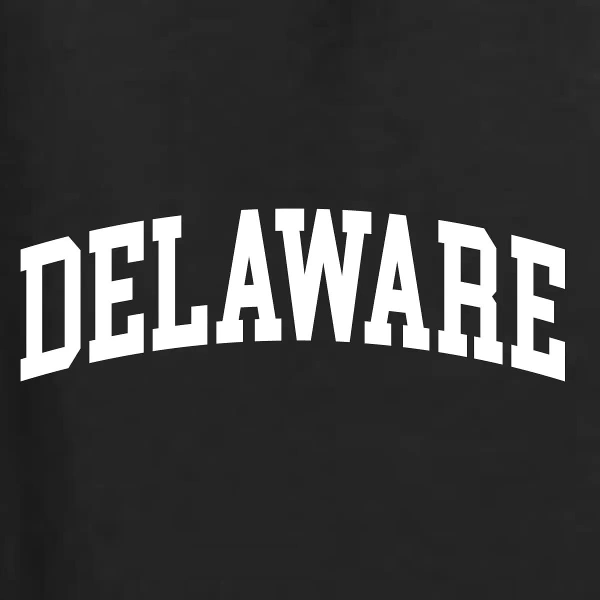 Wild Bobby State of Delaware College Style Fashion T-Shirt