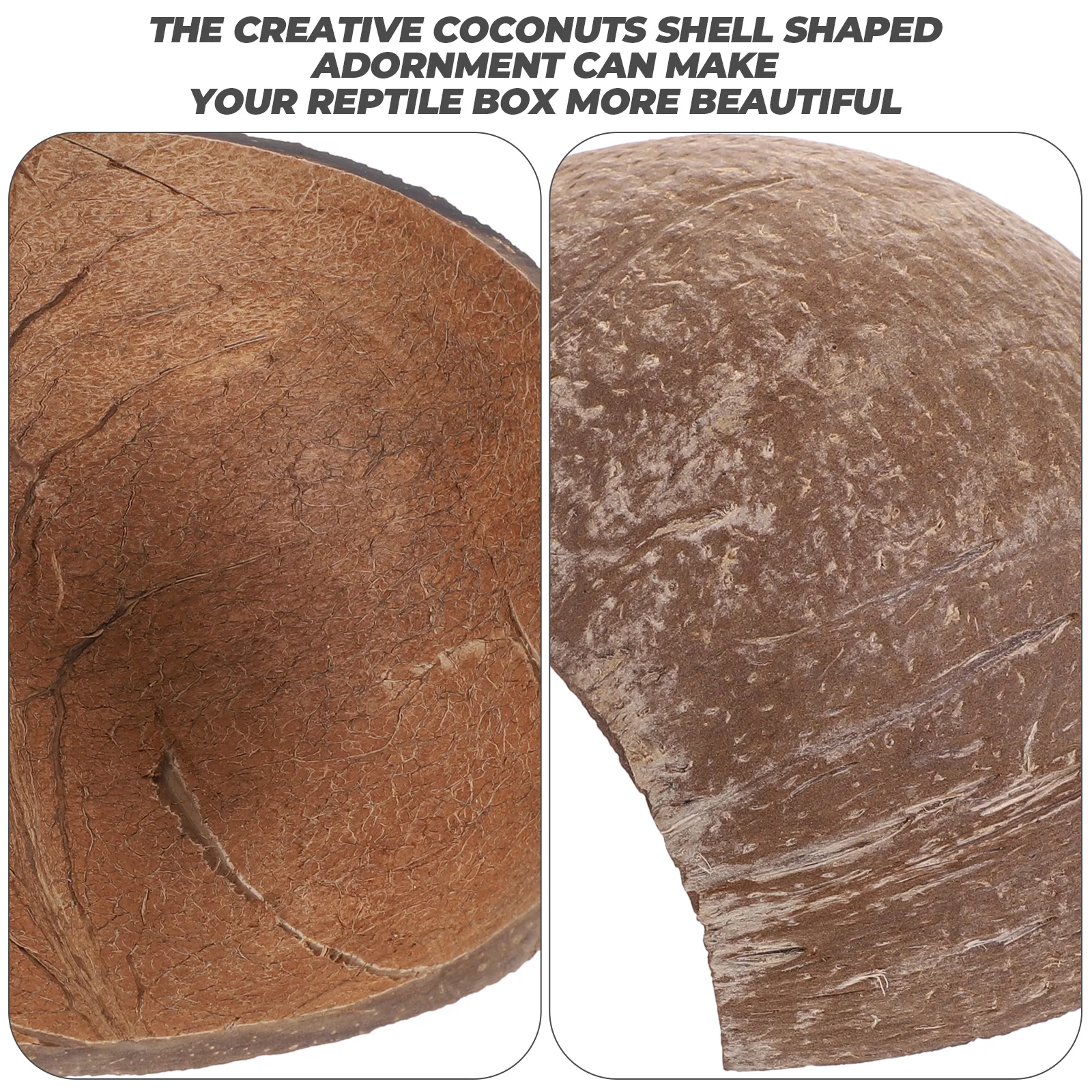 

2 Pcs Coconut Cave Decorative Lizard Hide Terrarium Fish Tank Hiding House Reptile Hideaway Shell Snake Habitat Reptiles