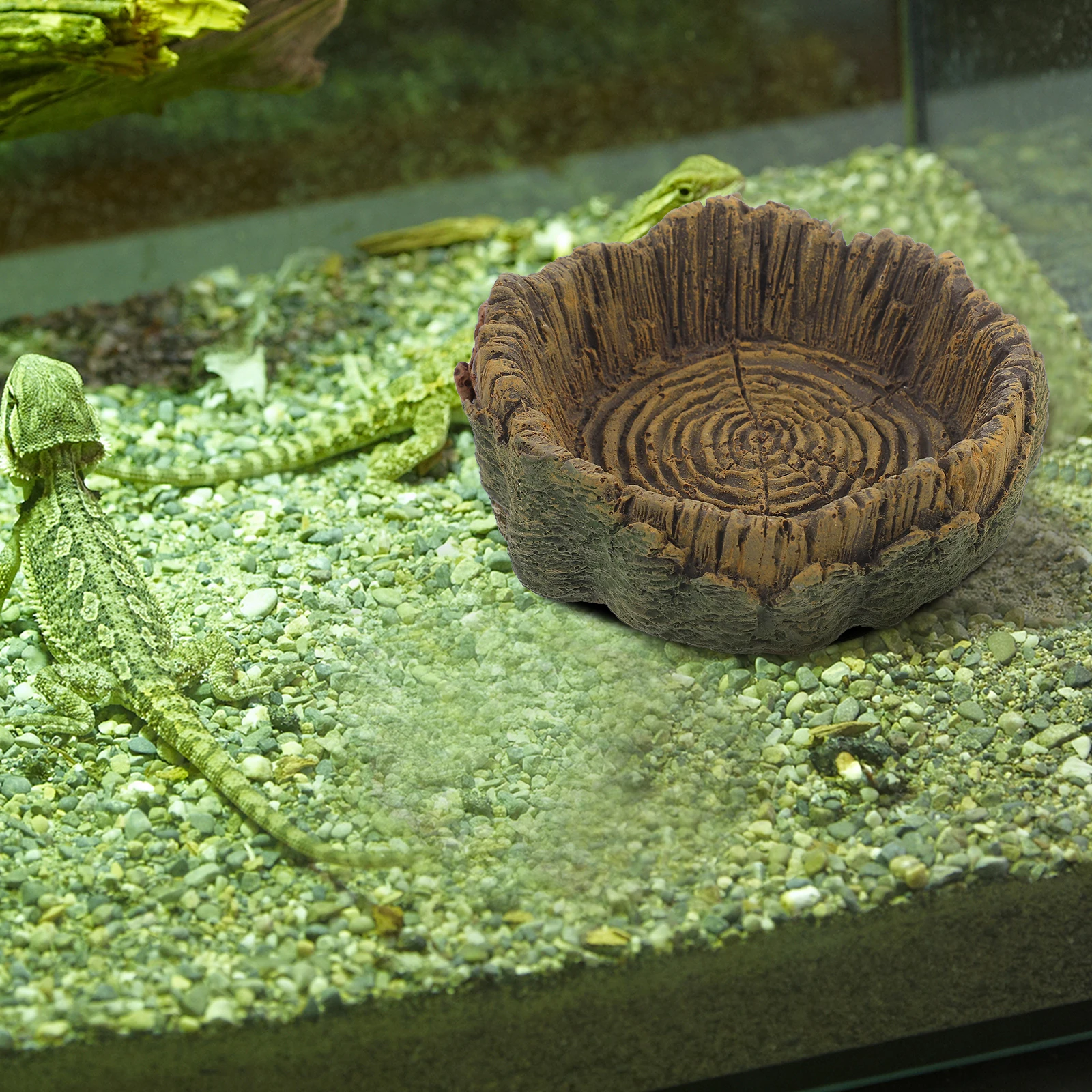 

Resin Lizard Spider Water Basin Feeding Pot Pet Feeder Small Reptile Dish Crawl Food Bowl Large Capacity Perfect Reptile Pets